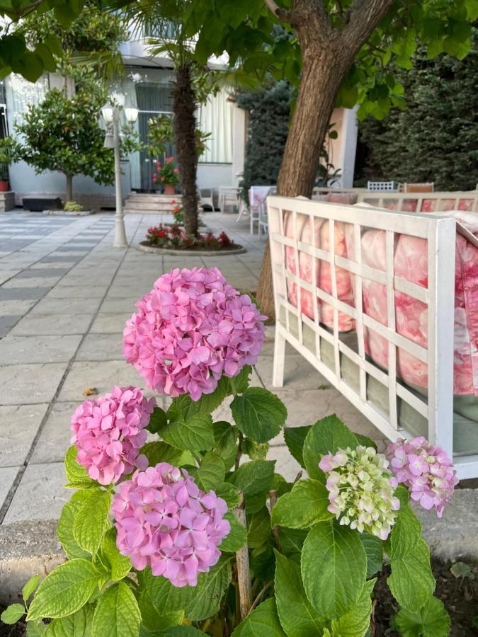 Škalngur Sanremo Hotel Restorant מראה חיצוני תמונה